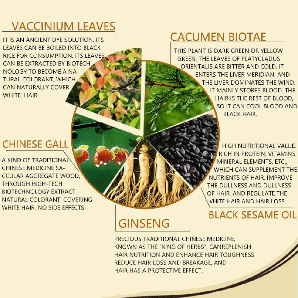 3-in-1 Herbal Black Hair Dye Shampoo for Gray Hair Coverage
